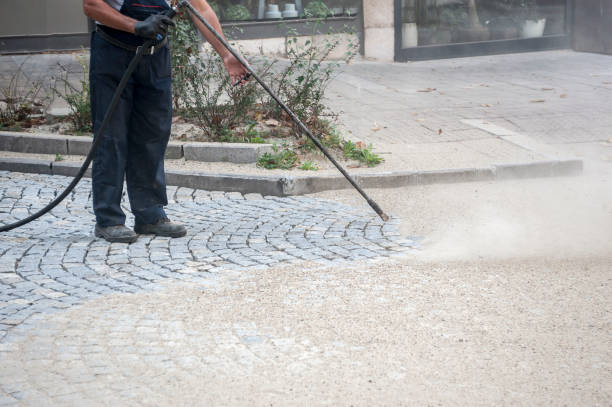 Best Window and Screen Pressure Cleaning in Laymantown, VA